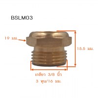 BSLM03 วัดไซต์